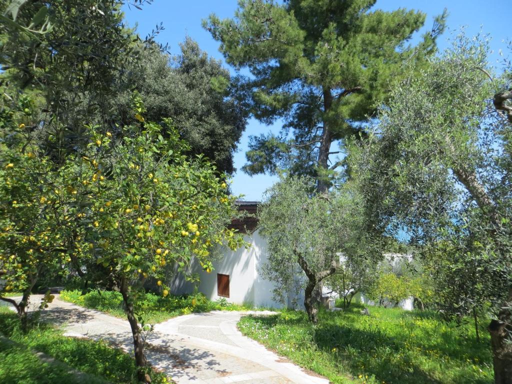 Villaggio Hotel Ripa Rodi Garganico Exterior foto